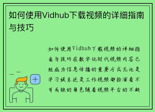 如何使用Vidhub下载视频的详细指南与技巧